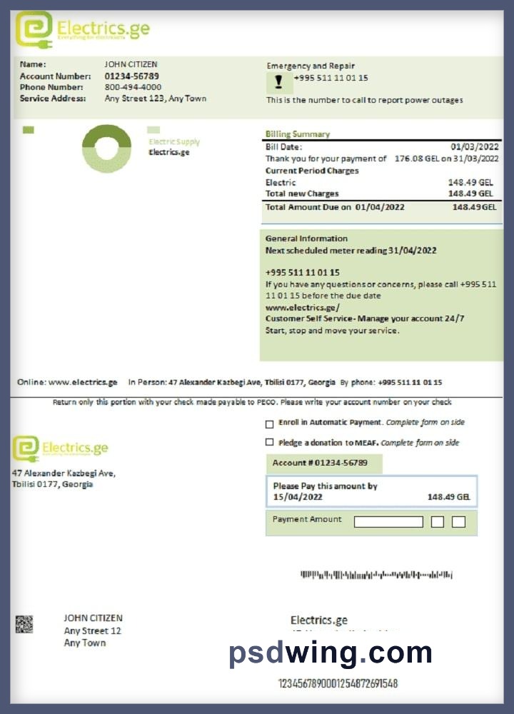 Georgia Electrics.ge Electricity Bill